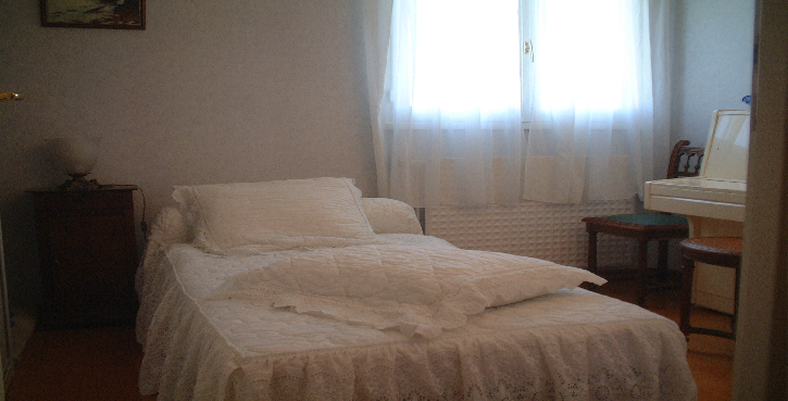 wp45f96d28.png