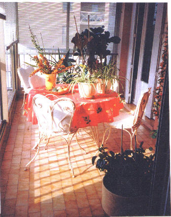 wpd1a0501f.jpg